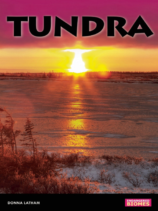 Title details for Tundra by Donna Latham - Available